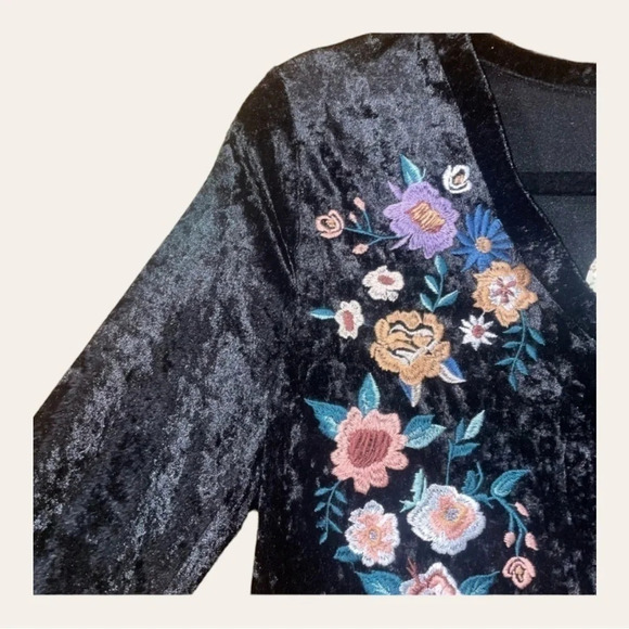 💥NWT💥 ODDY VELVET EMBROIDERED LONG SLEEVE TOP NEVER WORE PERFECT CONDITION - Picture 5 of 13